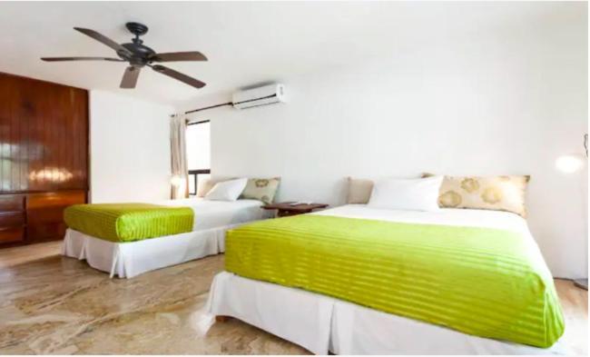 דירות קנקון Amazing Location & Great Price מראה חיצוני תמונה