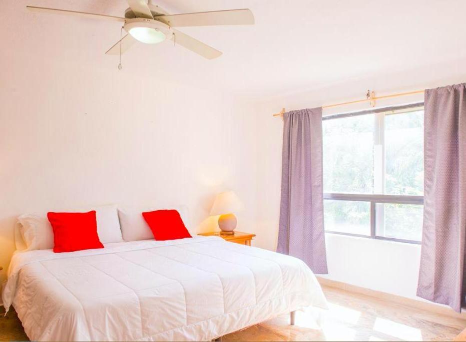 דירות קנקון Amazing Location & Great Price מראה חיצוני תמונה
